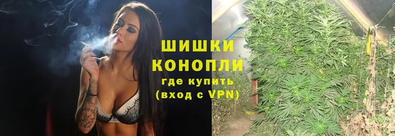 darknet наркотические препараты  Ивантеевка  Каннабис White Widow  где продают наркотики 